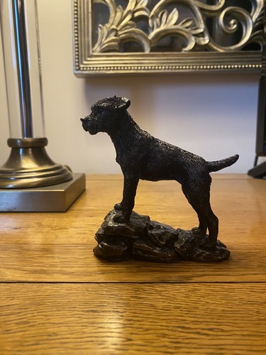 Border terrier rocks - ,