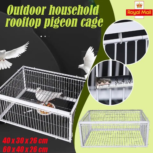 Pigeon trap cage - pigeon, single