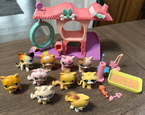 Littlest pet shop lot - pet, cat
