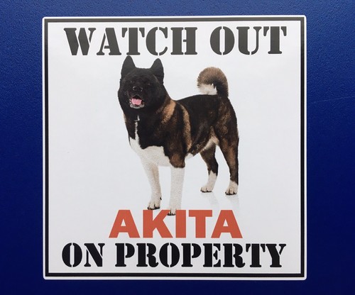 Watch out japanese - out, akita