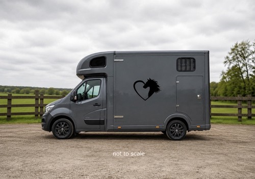Horse box vinyl - box,