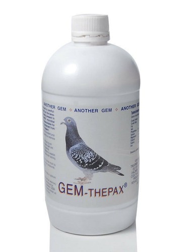 Gem gemthepax for racing - gem,