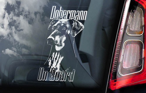 Dobermann car sticker - car,