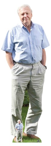 Sir david attenborough - sir,