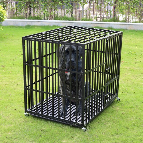 Bingopaw heavy duty dog crate - bingopaw,
