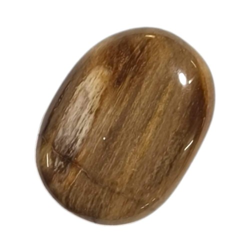 Petrified wood medium oval - petrified,