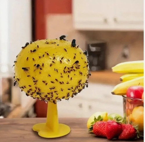 Fruit fly balls - fly, trap