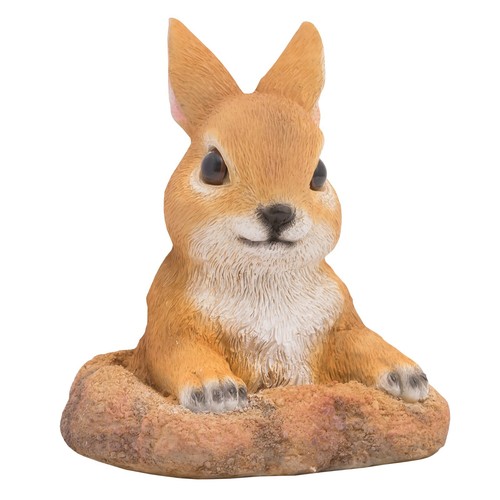 Currious rabbit garden - currious,