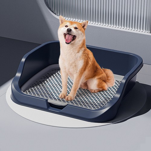 Large open puppy dog pee - pee, tray