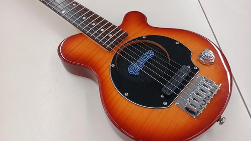Pgg 200 basswood - pgg-200,