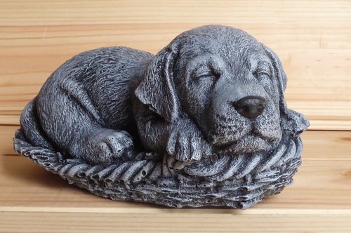 Handcrafted cute labrador - cute, in