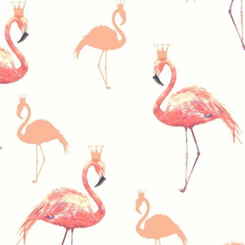 Queen flamingo wallpaper - queen,
