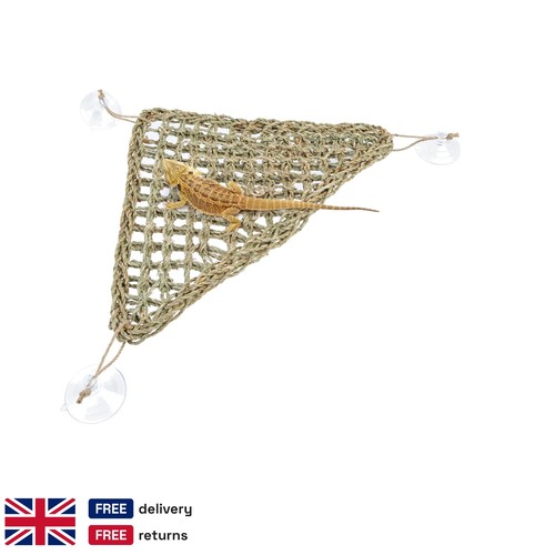 Bearded dragon hammock seaweed - bearded,