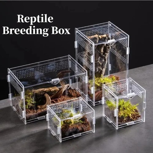 Acrylic reptile terrarium - reptile,