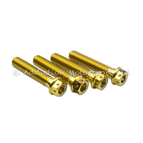 Gold titanium front fork - titanium,