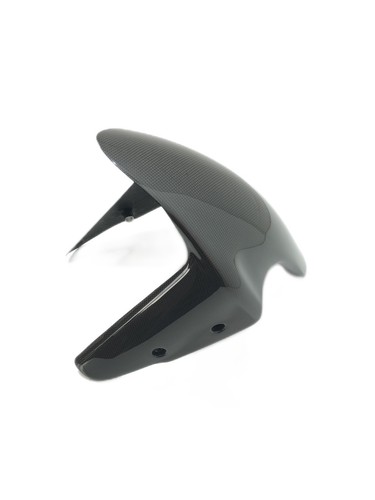 Front fender glossy - fender,