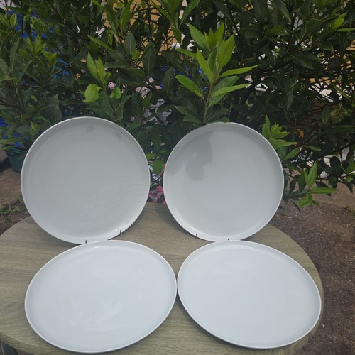 Big fella plate - 1,