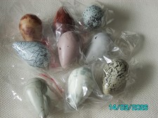 9 - DIFFERENT GUILLEMOT -