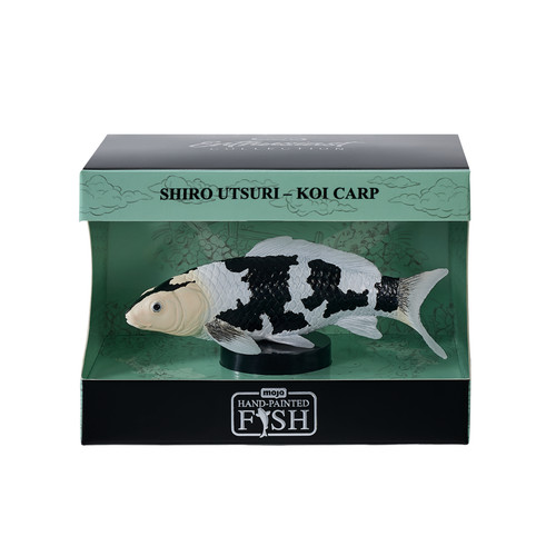 Mojo shiro utsuri koi - koi, carp