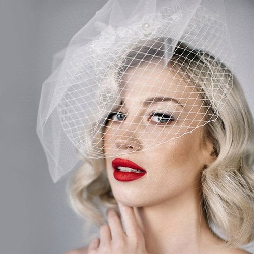 Birdcage 1920 veil - birdcage,