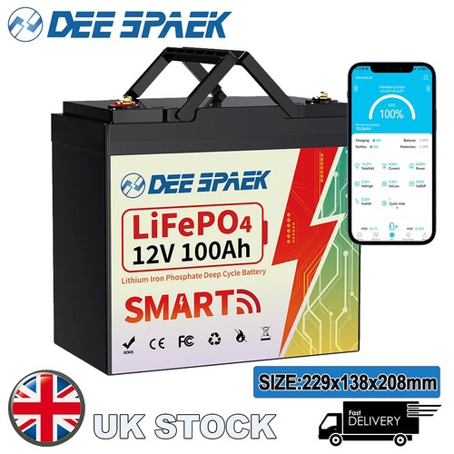 12v 100ah lifepo4 - 12v,