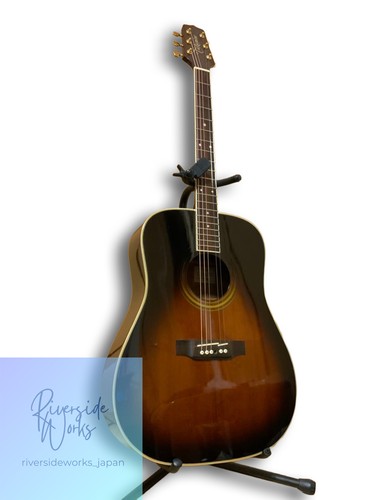 Takamine 600 acoustic - takamine,