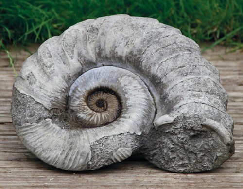 Ammonite fossil statue - fossil, |