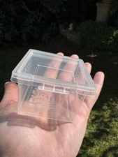 Stick Insect, Leaf Insect