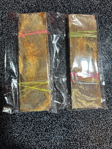 Two pairs special - pairs, horn
