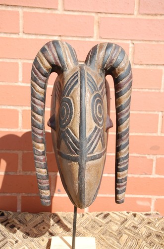 Old bwa belier ram - bwa, or