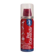 Pet Corrector Dog Training