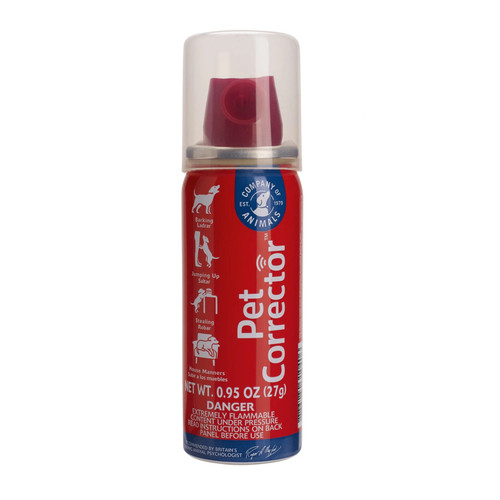 Pet corrector dog training - pet,