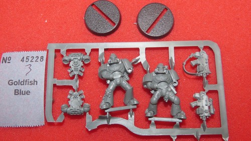 Warhammer40k space marines - warhammer40k,