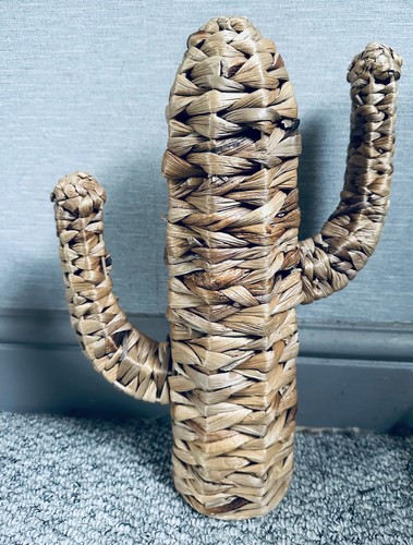 Rattan wicker cactus home - rattan,