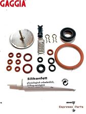 Gaggia Titanium Repair Kit Saeco Magic, Royal, Incanto, Italia Set - 21 piece