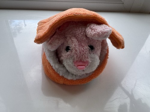 Zhu pets sweetie - zhu, hamster
