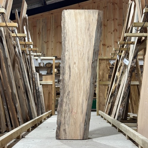 Spalted london plane board - spalted,