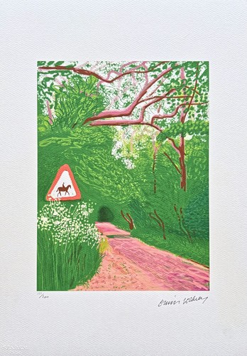 David hockney arrival of - hockney,
