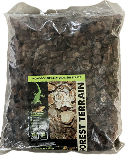 Komodo reptile forest terrain - reptile,