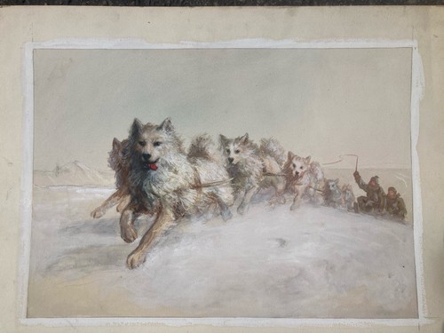 Original vintage husky dog - vintage,