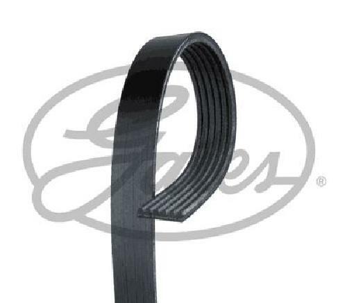 Original gates ribbed belt - gates, v-ribbed