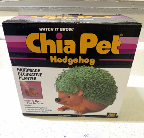 Chia pet hedgehog terracotta - pet,