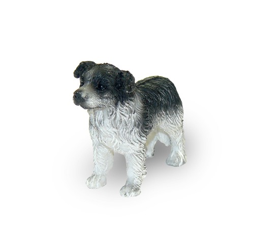 Jess the collie - the, for