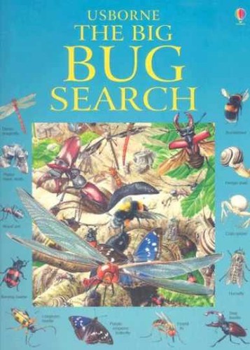 Usborne the big bug - the, search