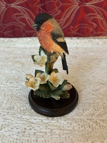 Country artists broadway birds - country,