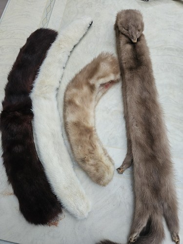 Sellection stoles fox fur - of,