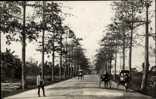 Vintage rppc singapore - vintage,