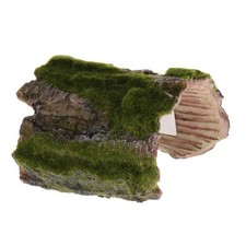Aquarium Tank Reptile Bends