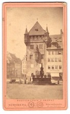 Photograph C. Probst