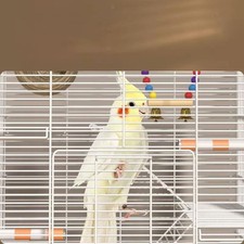 Metal Wire Bird Cage Table Top